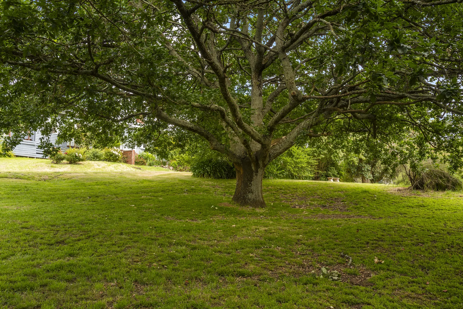 Additional image 34 of 121 Mt William Road, Goldie VIC 3435