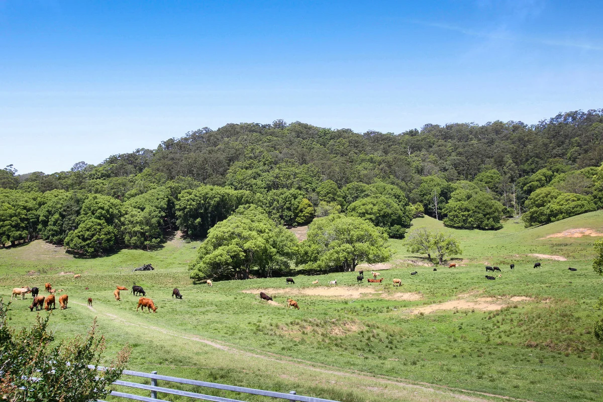 Additional image 11 of 1039 Currumbin Creek Road, Currumbin Valley QLD 4223