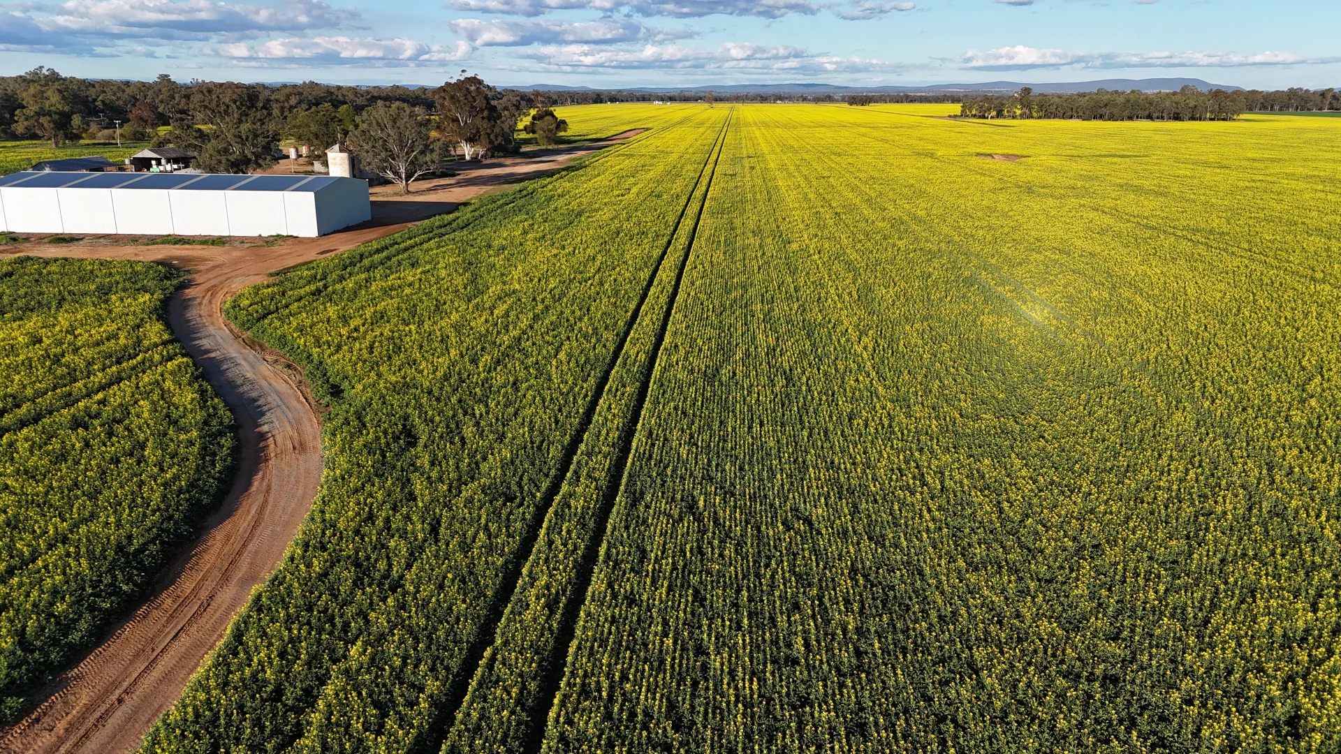 Additional image 17 of 349 A Warregal Road, Parkes NSW 2870