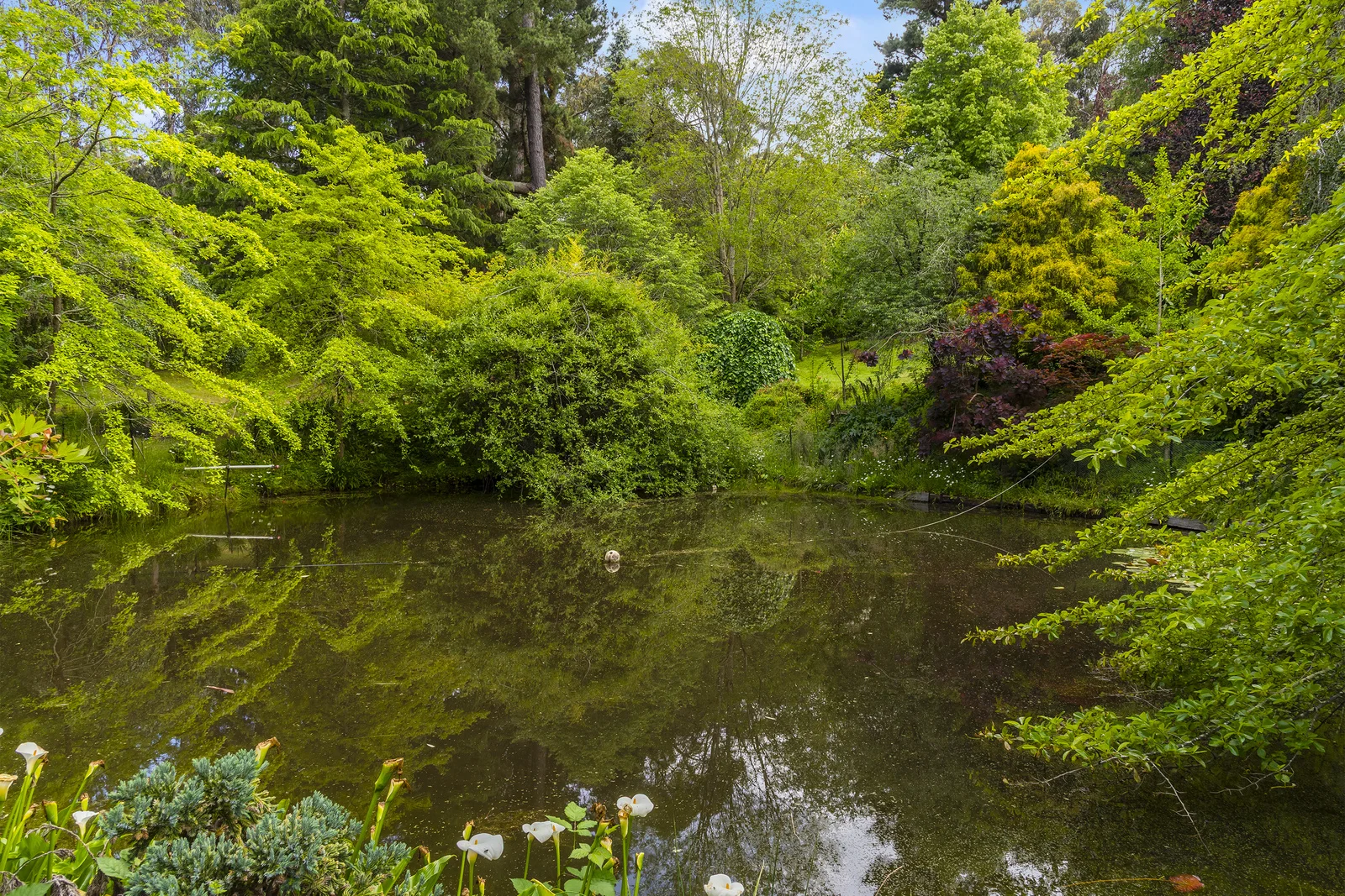 Additional image 25 of 610 Mount Macedon Road, Mount Macedon VIC 3441