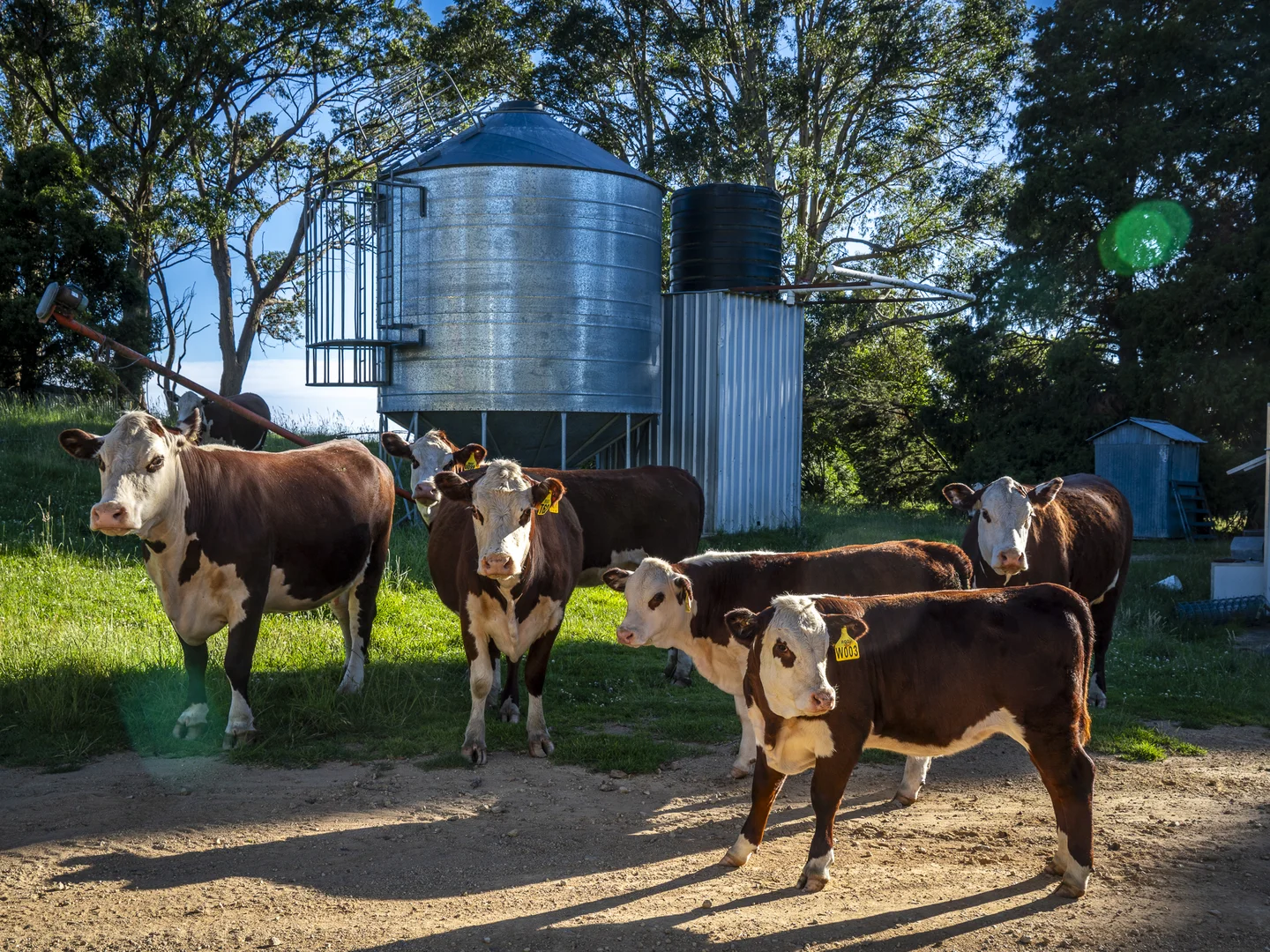 Additional image 17 of 338 Fishington Road, Wongwibinda NSW 2350