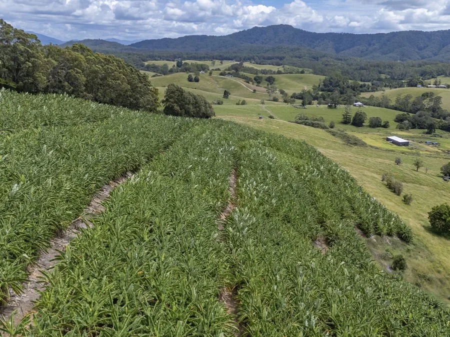 Additional image 29 of 75 Colemans Rd, Valla NSW 2448