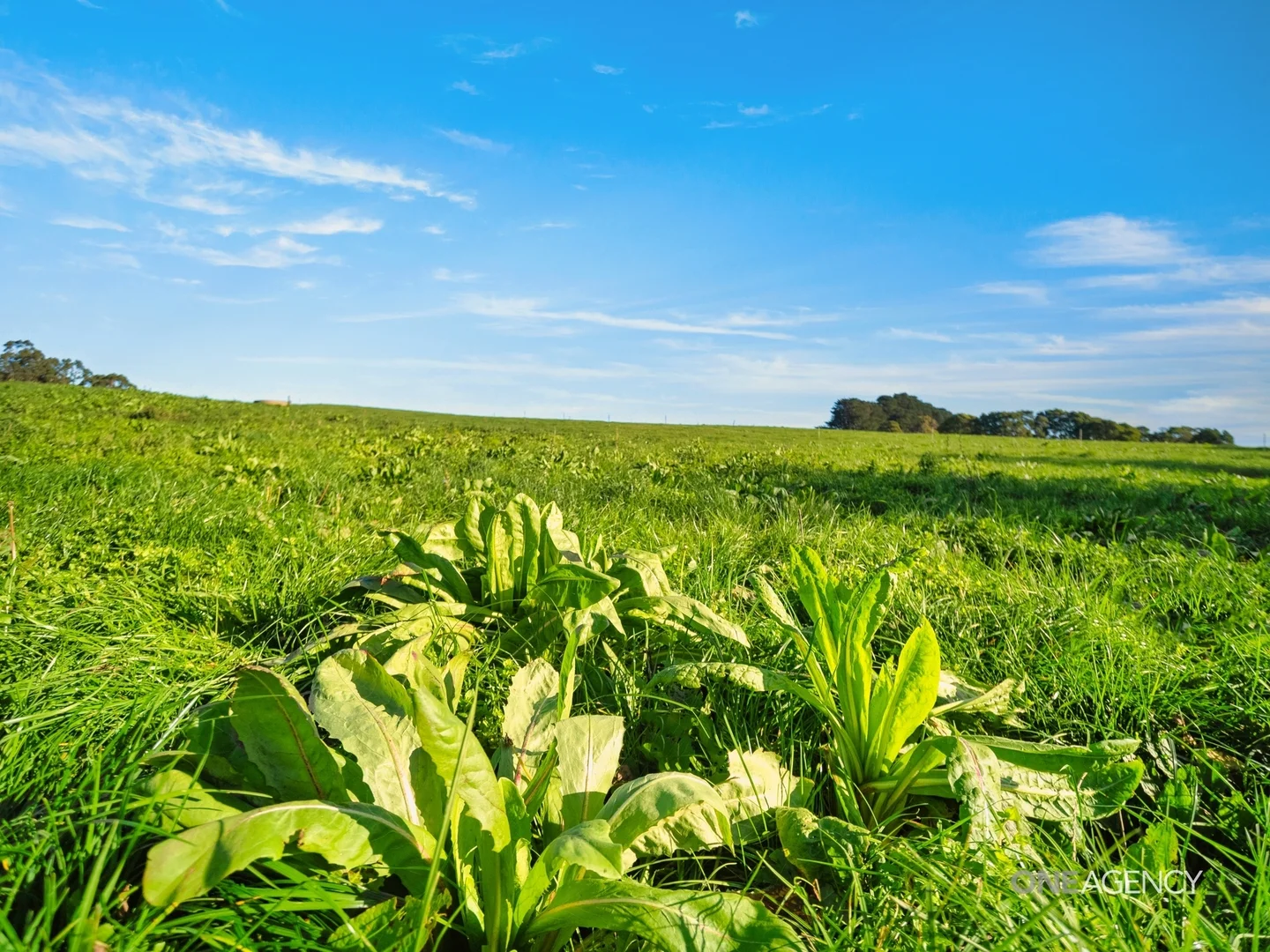 Additional image 18 of 1089 Trowutta Road, Edith Creek TAS 7330