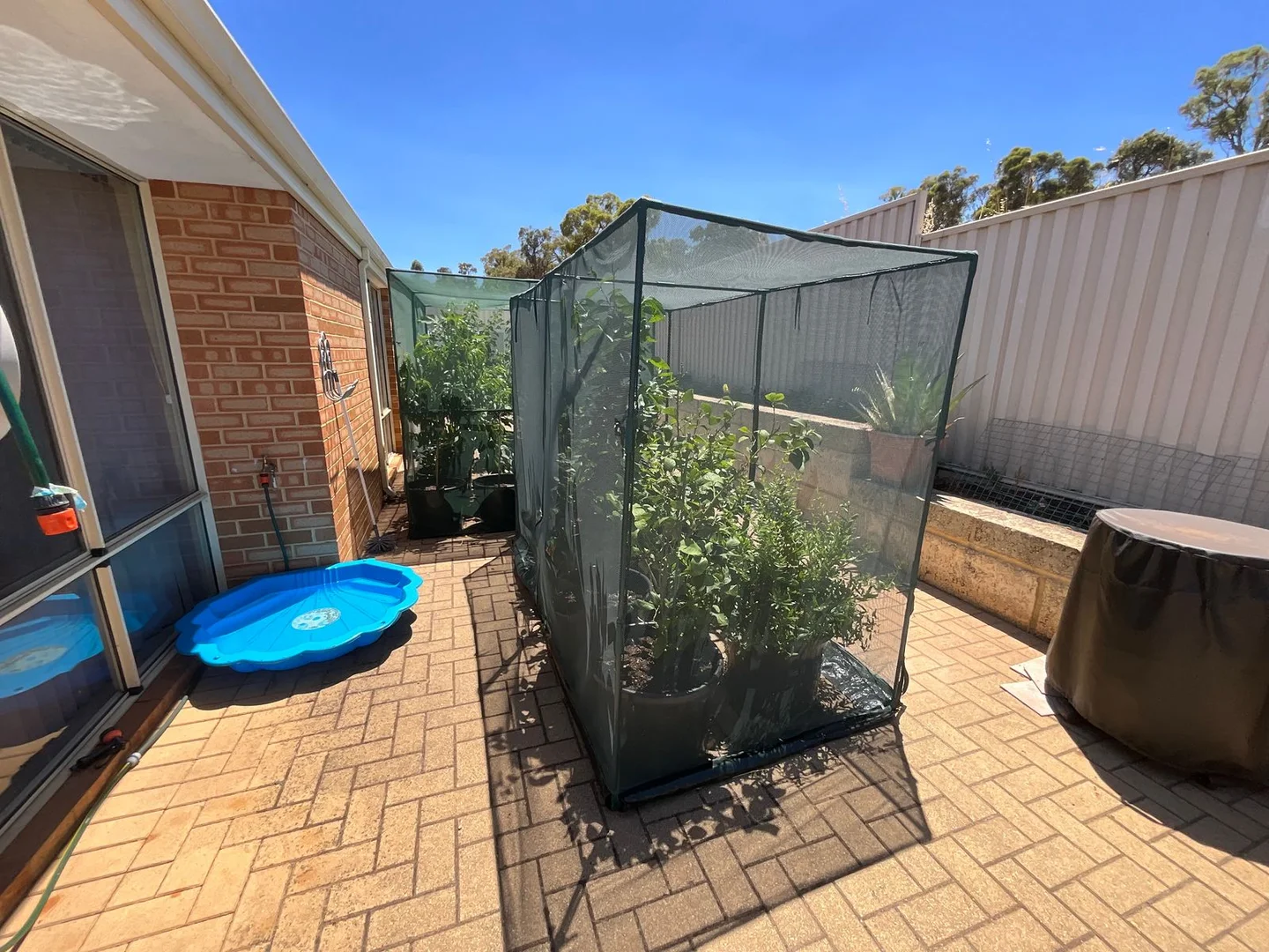 Additional image 11 of 10 Sandalwood Place, Boddington WA 6390