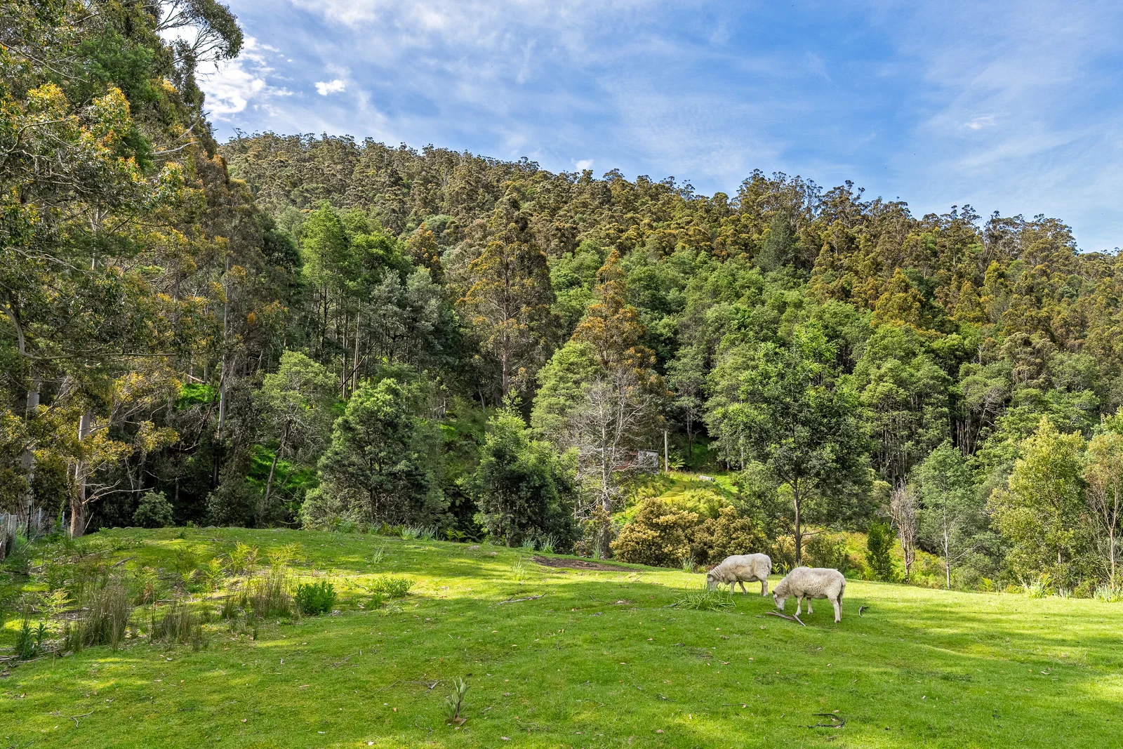 Additional image 11 of 9 Bobs Road, Oyster Cove TAS 7150