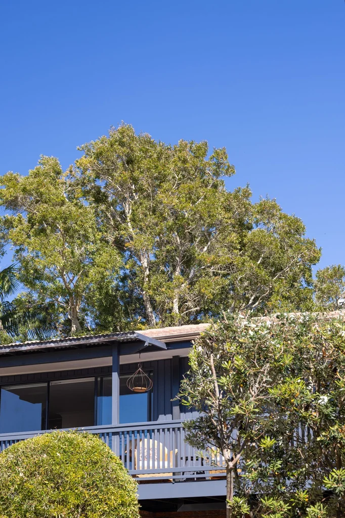 Additional image 37 of 58 Tingira Drive, Bawley Point NSW 2539