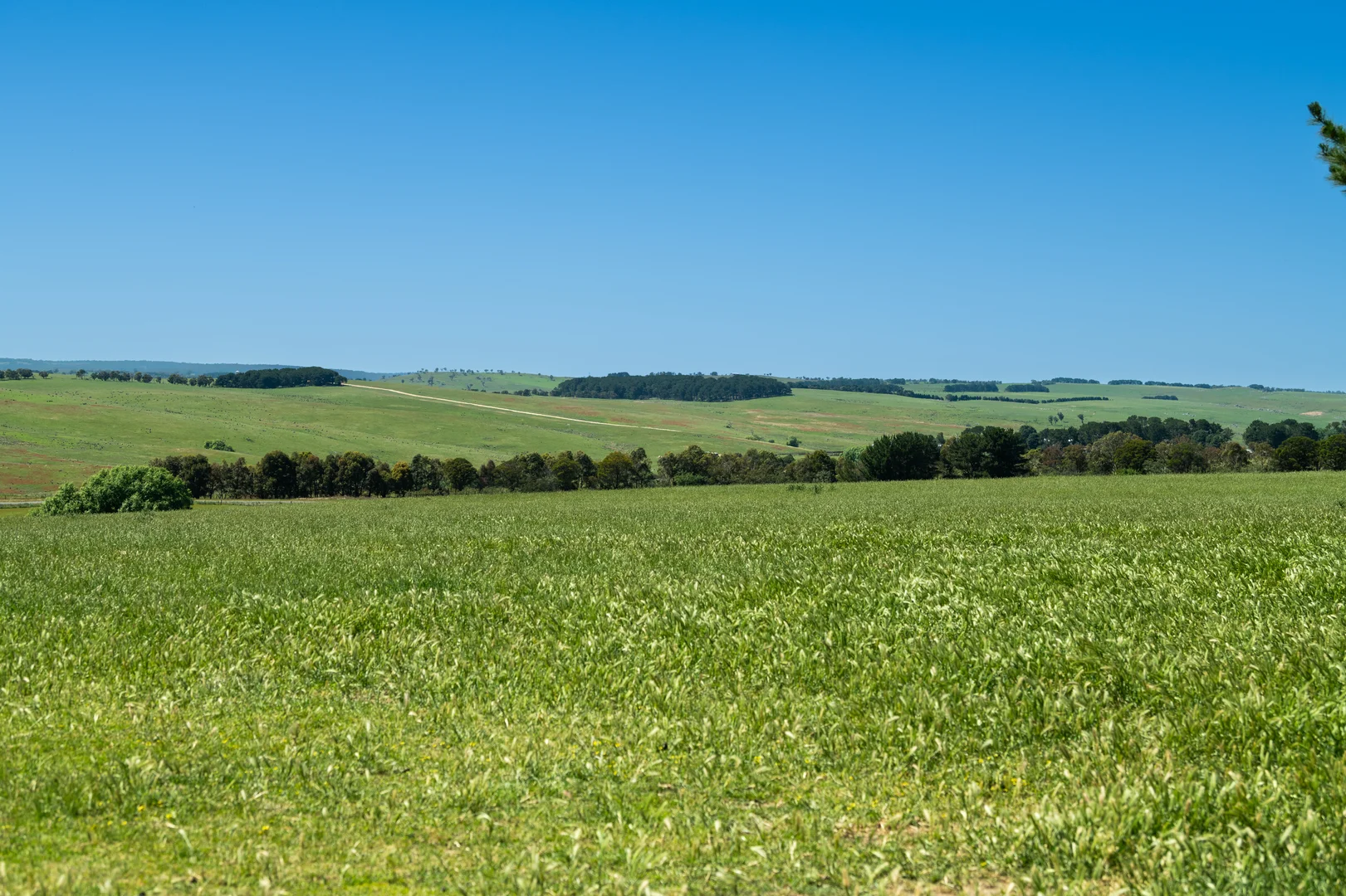 Additional image 15 of 21 Bolong Road, Golspie NSW 2580