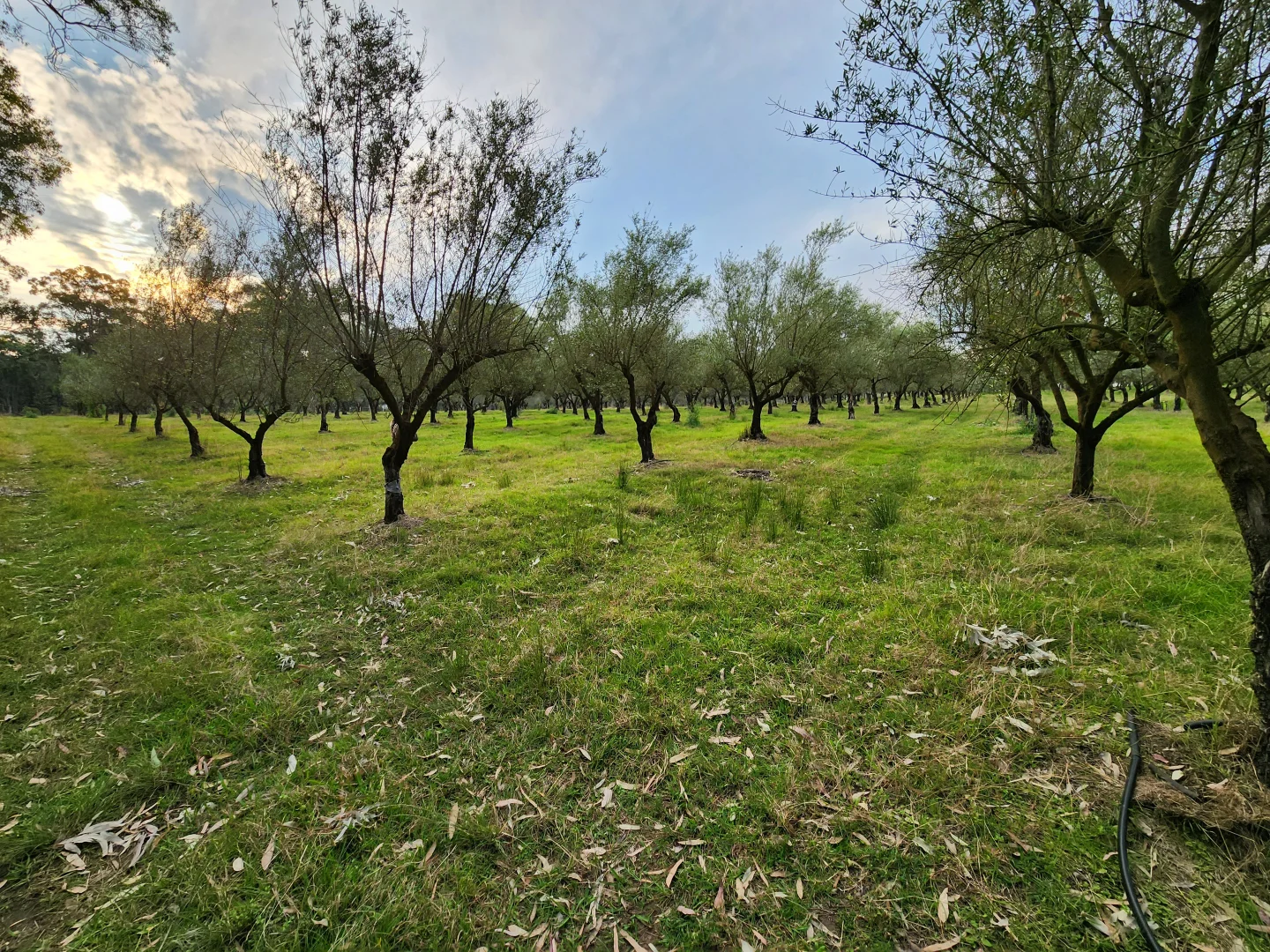 Additional image 50 of 100 Eltons Road, Silverdale NSW 2752