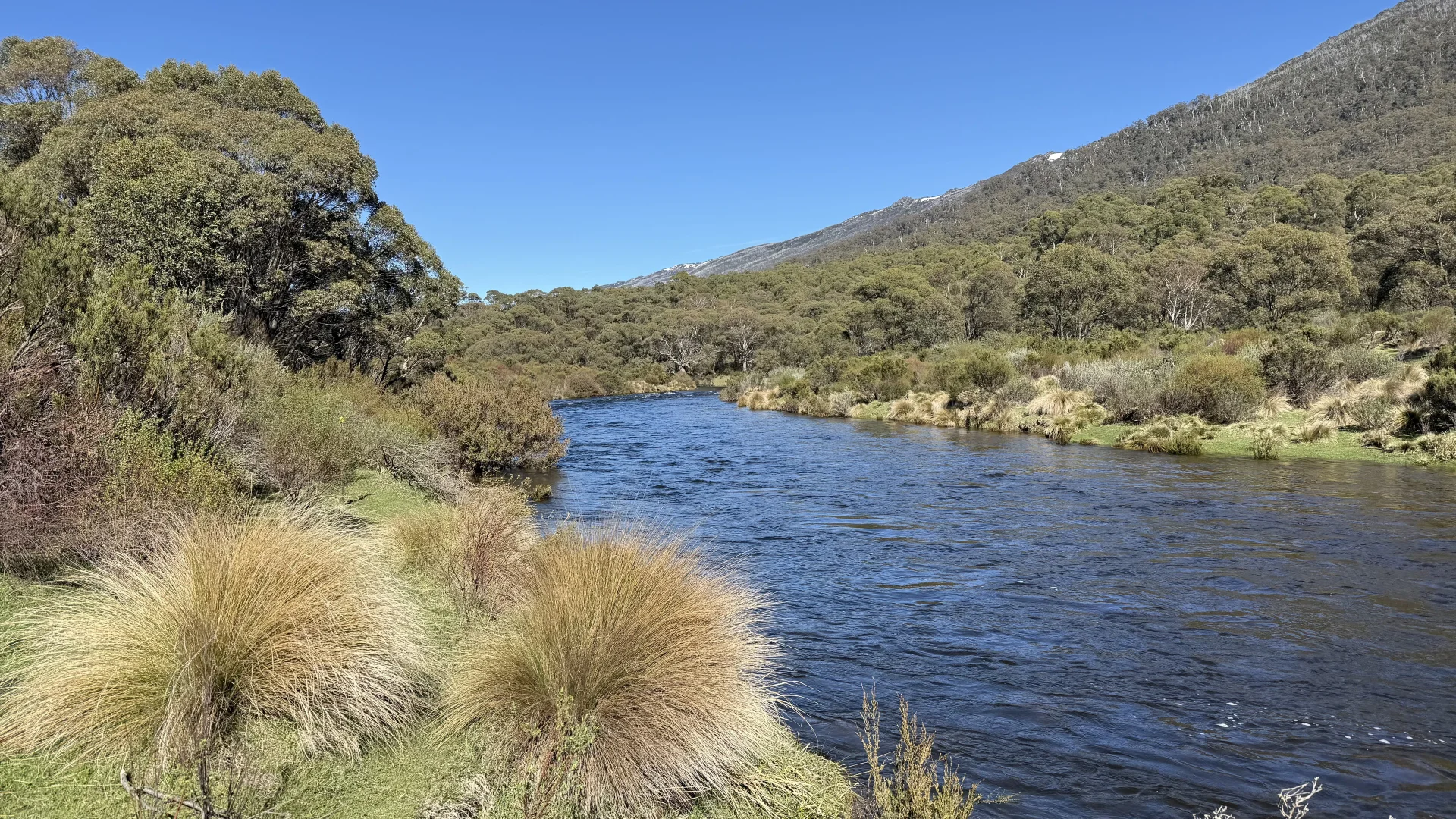 Additional image 13 of Bondilla 1638 Alpine Way, Crackenback NSW 2627