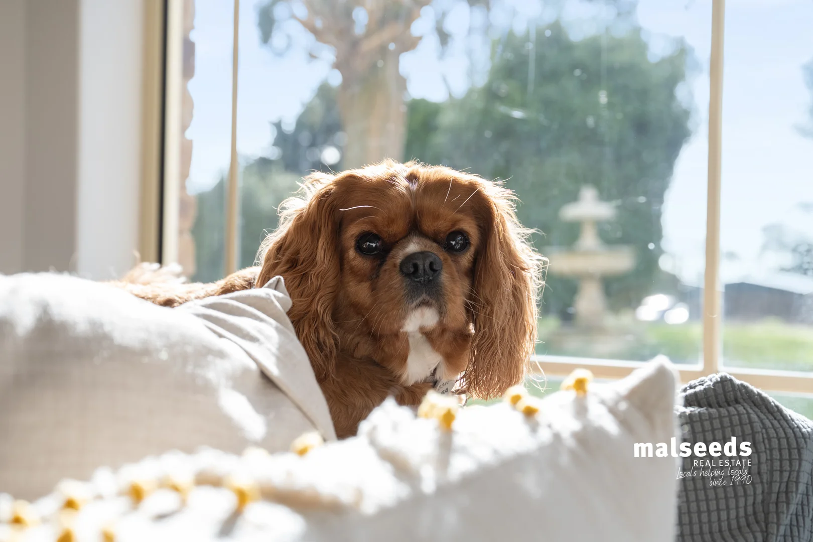 Additional image 12 of 8 Carrison Road, Suttontown SA 5291