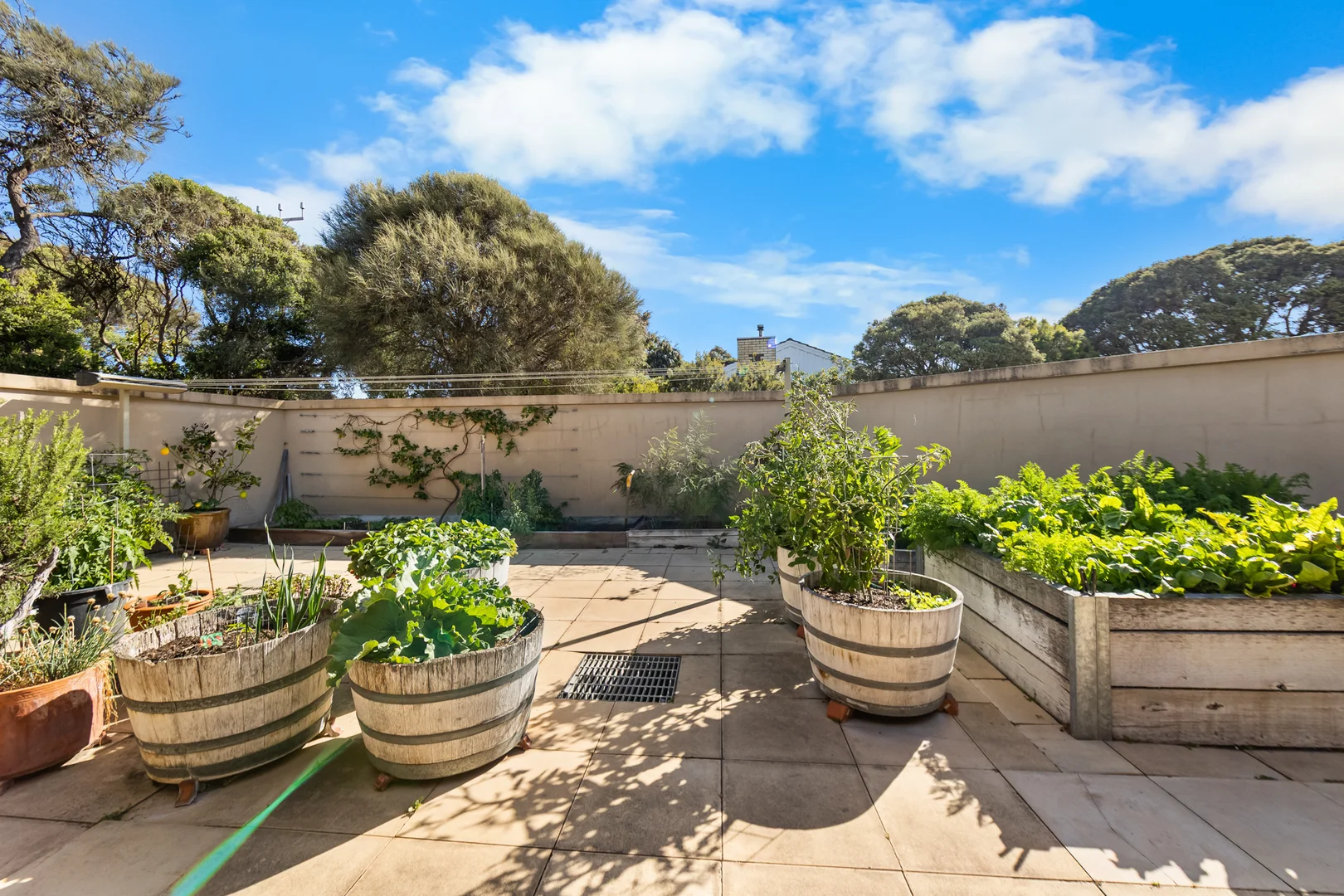 Additional image 22 of 2 PARKLANDS TERRACE, Beachport SA 5280