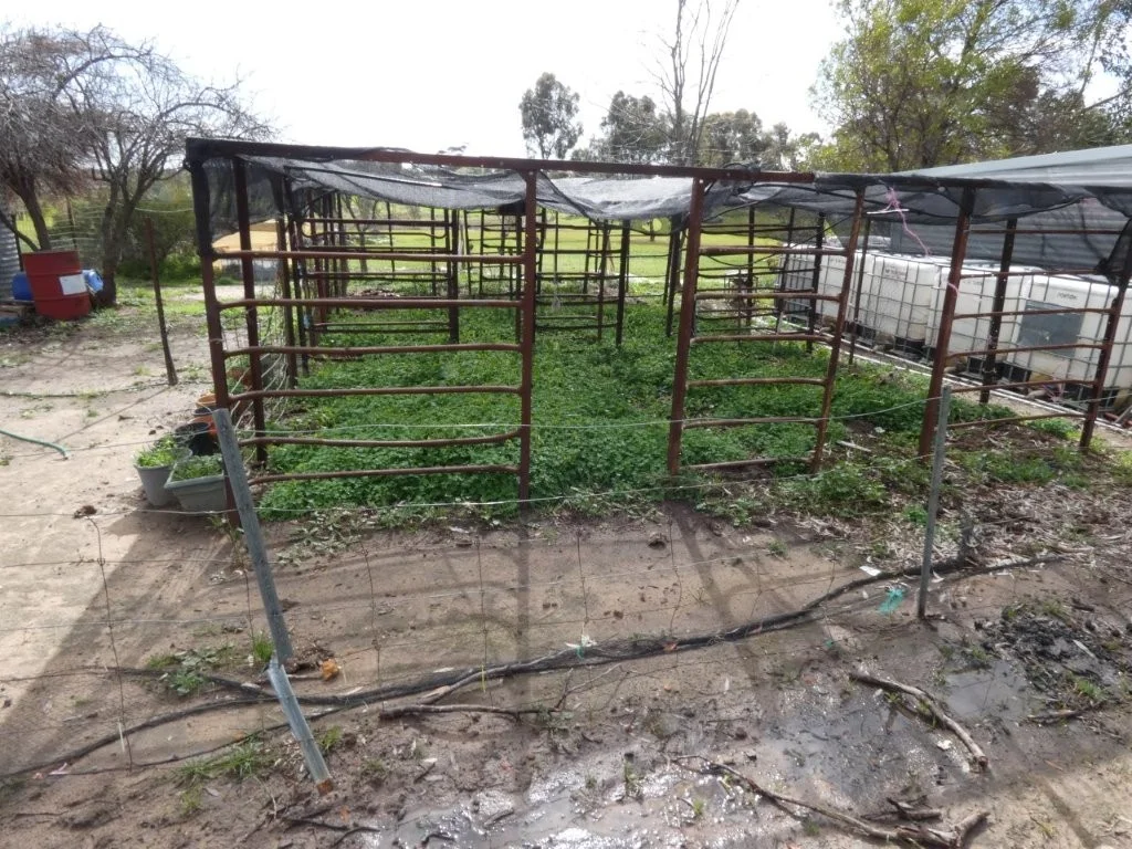 Additional image 6 of Patterson Rd, Dimboola VIC 3414