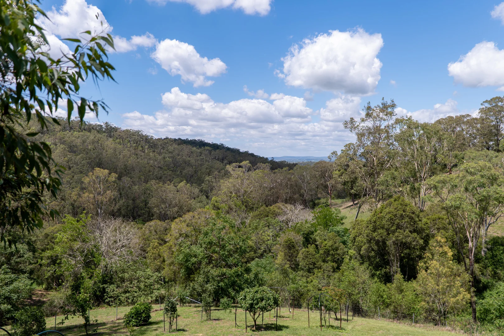 Additional image 24 of 352 Duns Creek Road, Duns Creek NSW 2321