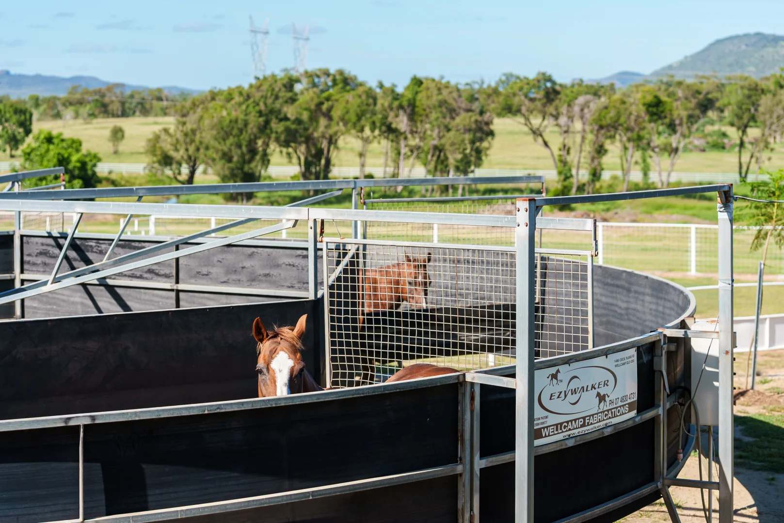 Additional image 3 of 'Allanmar Park' Goodwin Road, Gracemere QLD 4702