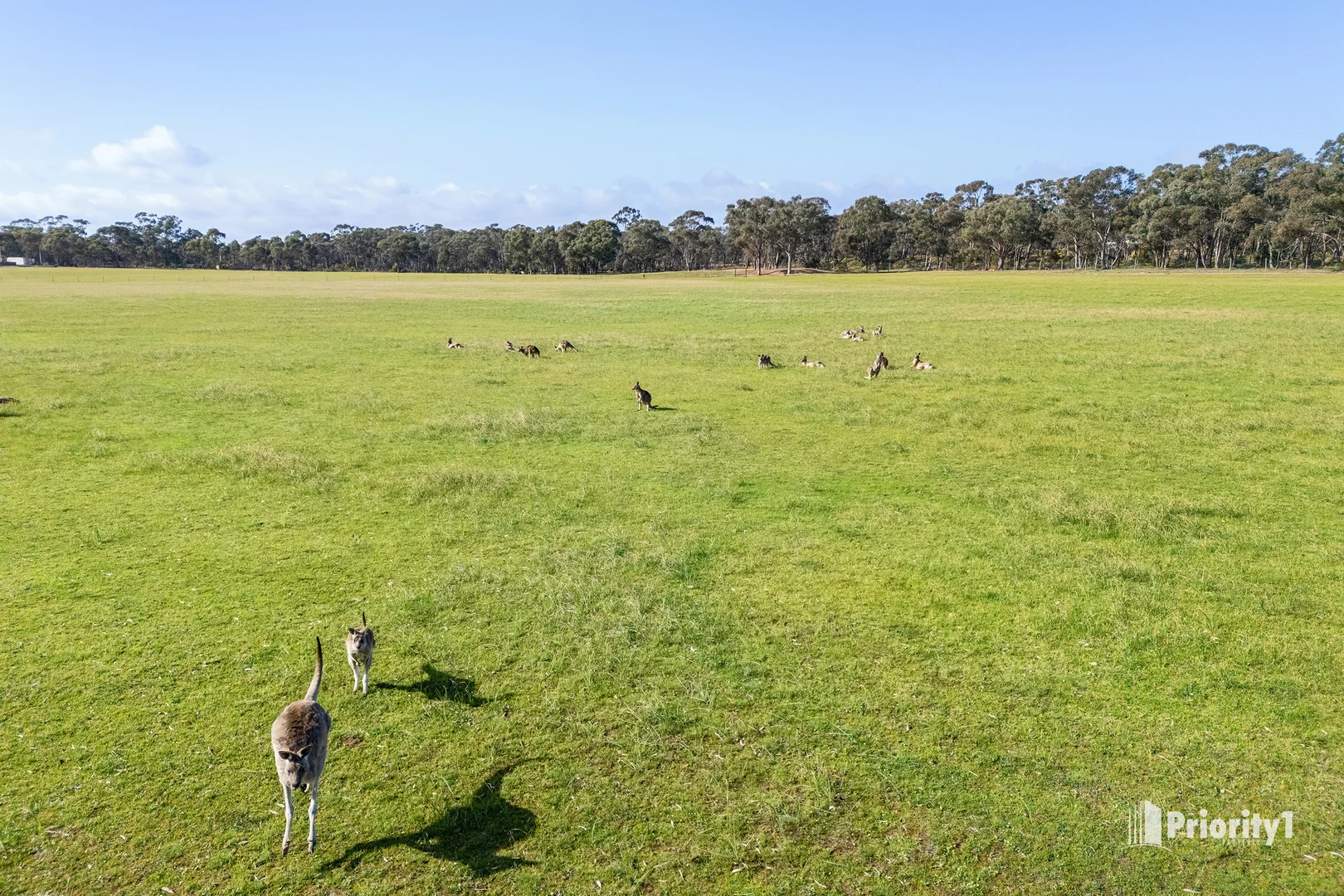 Additional image 3 of 94C Old Bridgewater Road, Marong VIC 3515