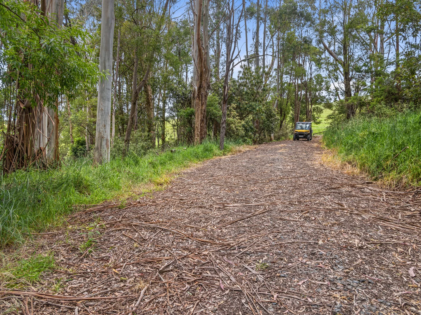 Additional image 10 of 1096 Grantville - Glen Alvie Road, Almurta VIC 3979