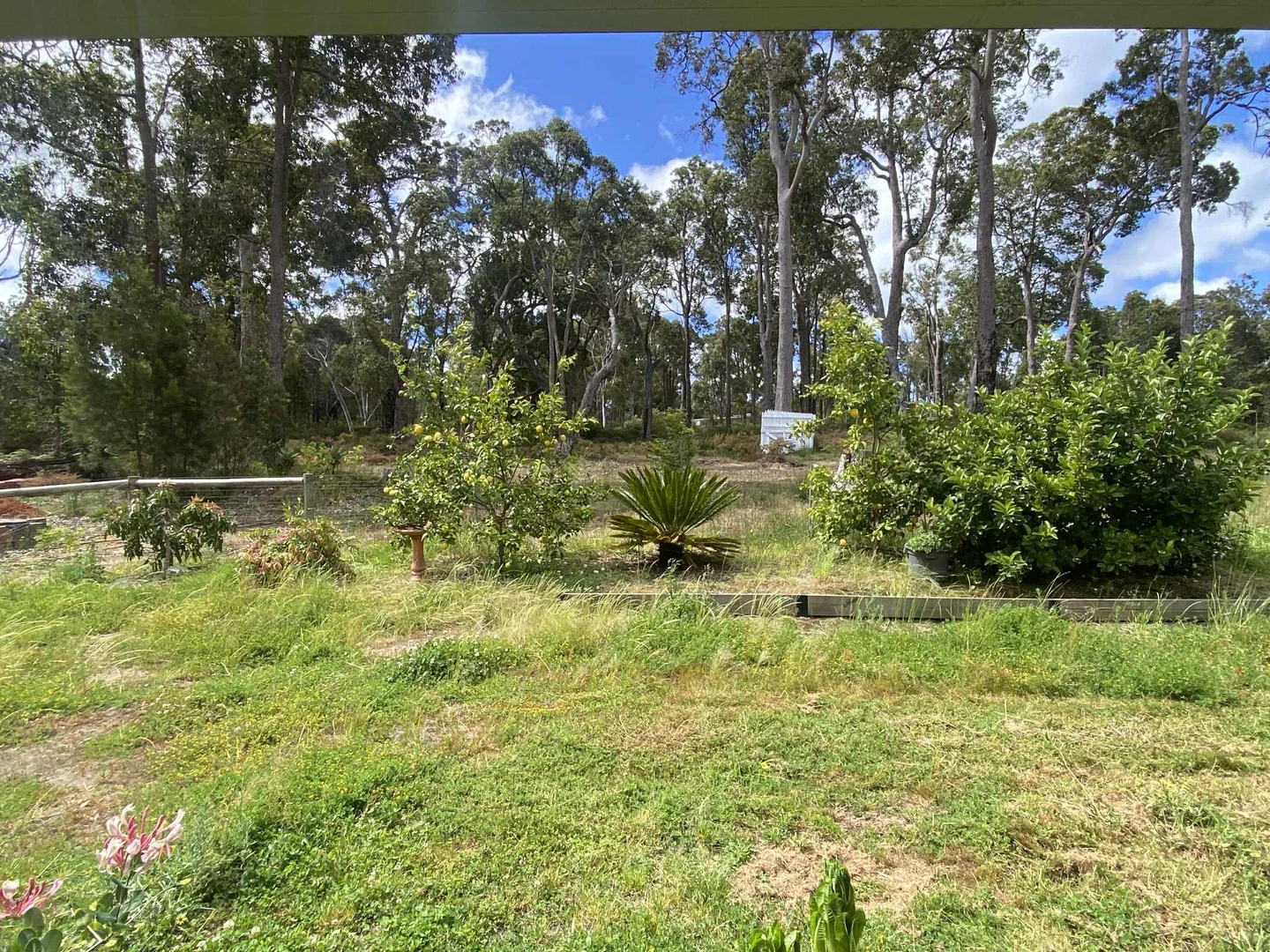 Additional image 16 of Northcliffe WA 6262