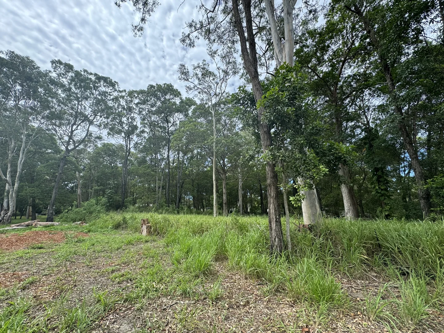Additional image 3 of 19 Bilbungra Street, Russell Island QLD 4184