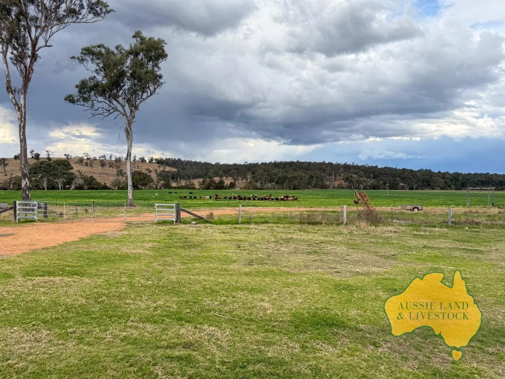 Additional image 19 of 250 Heights Road, Nanango QLD 4615