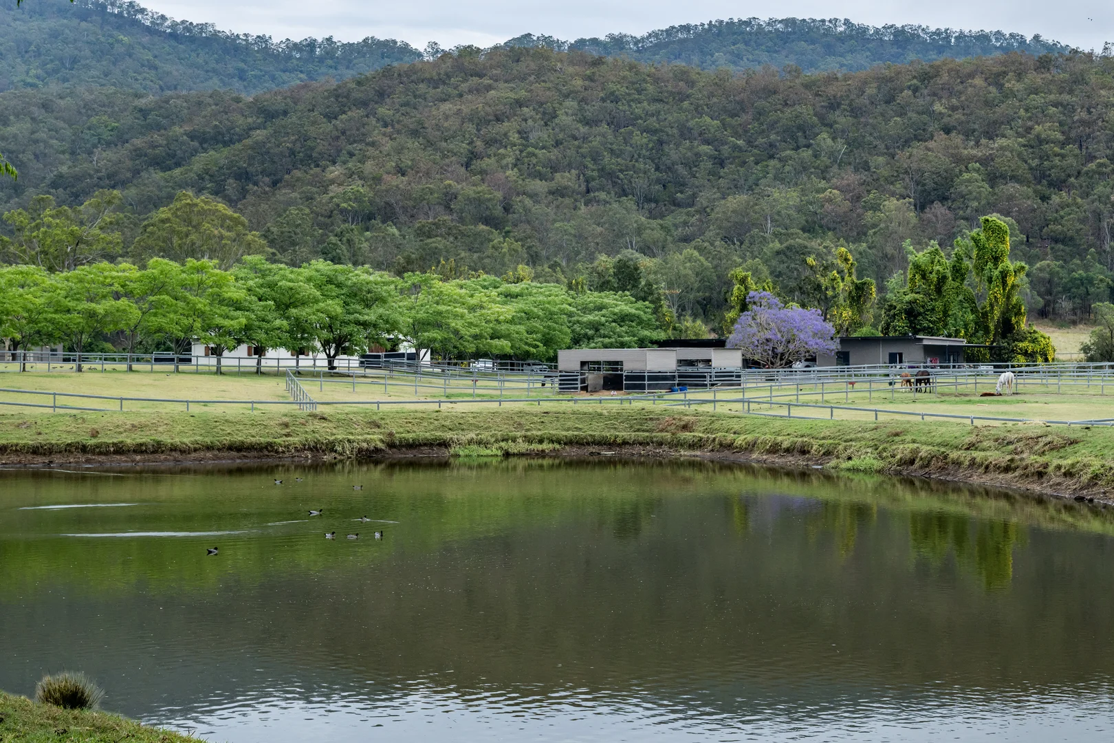 Additional image 25 of 2567 Beaudesert Nerang Road, Benobble QLD 4275