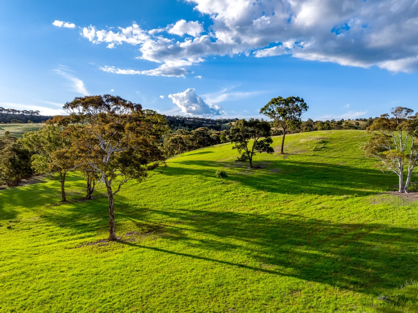 Additional image 5 of 1452 Crookwell Road, Goulburn NSW 2580