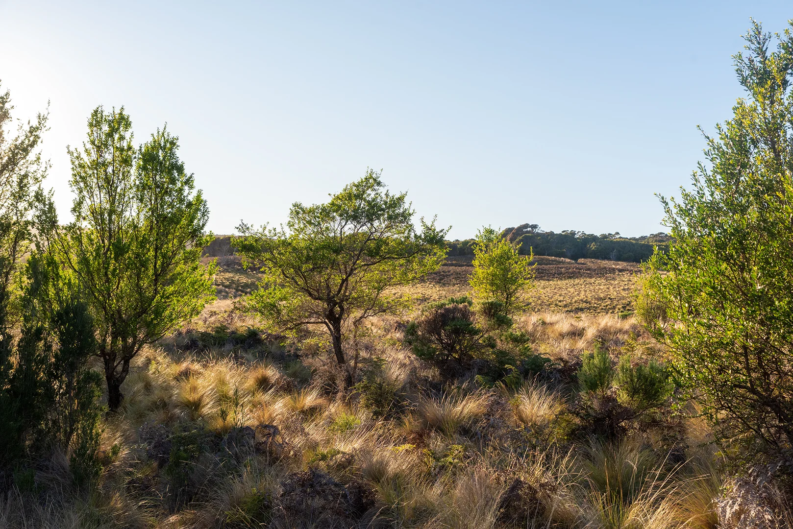 Additional image 19 of Lot 3 Boat Harbour Road, Killiecrankie TAS 7255