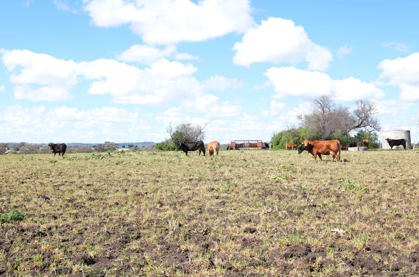 Additional image 5 of 154 Delungra Bypass Road, Inverell NSW 2360