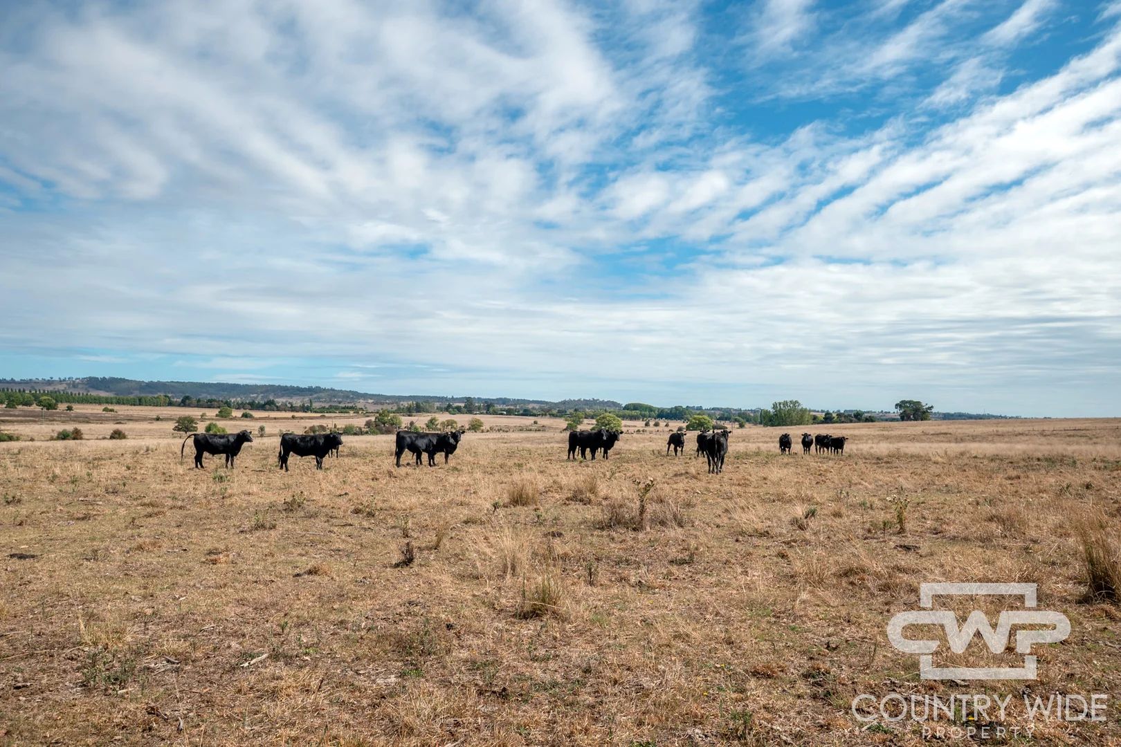 Additional image 8 of 172 Hazelwood Road, Stonehenge NSW 2370
