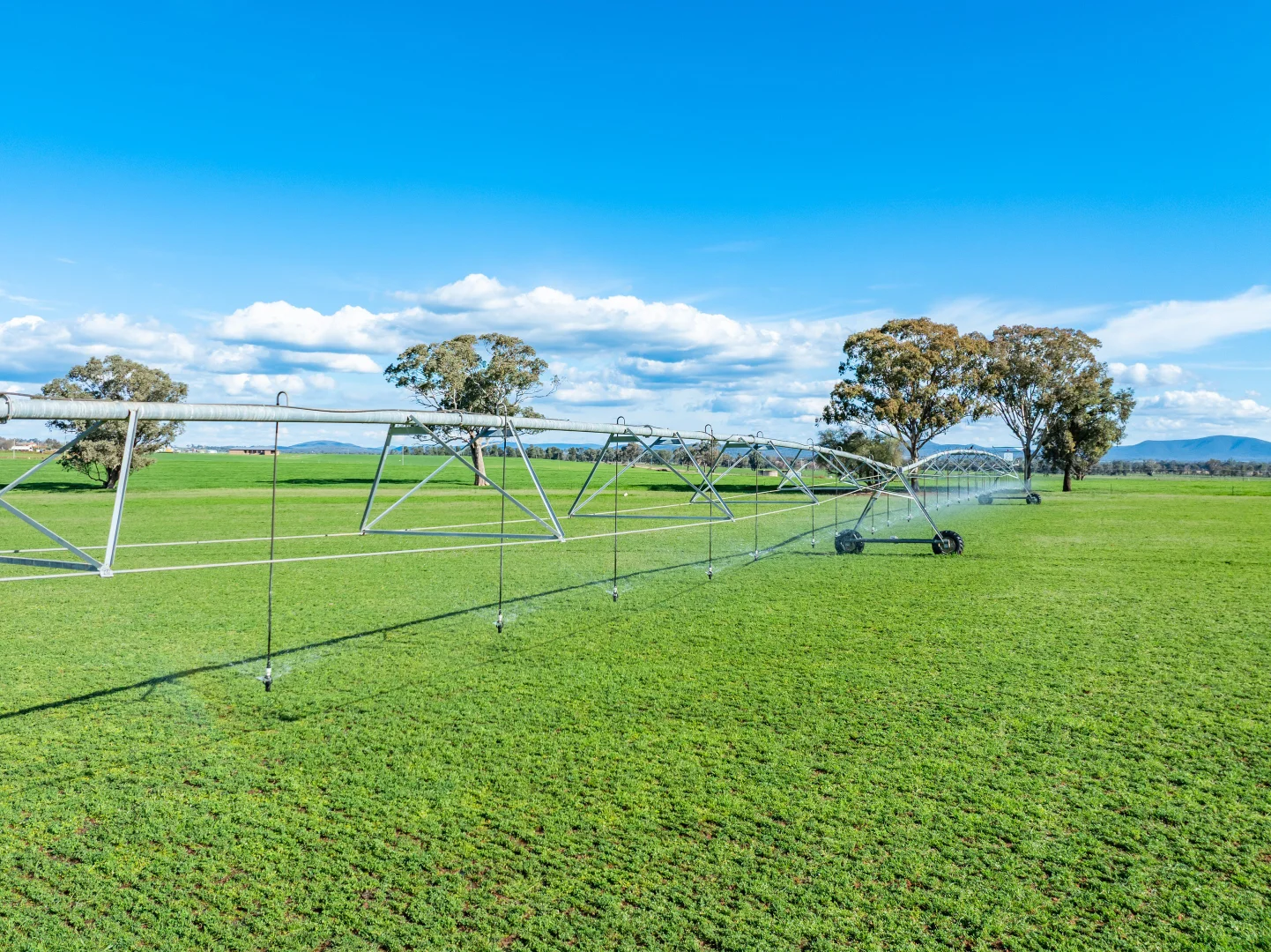 Additional image 25 of 164 Settlement Bridge Road, Canowindra NSW 2804