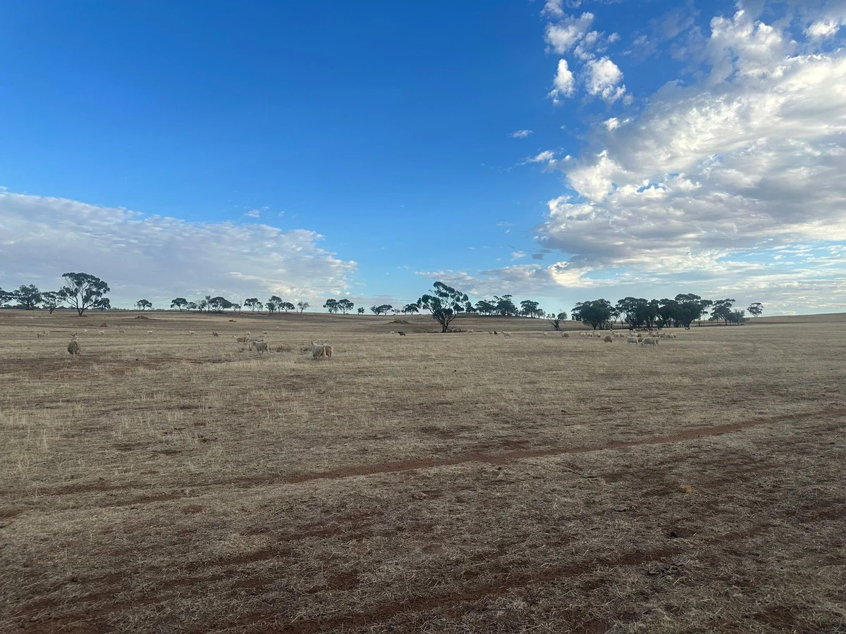 Additional image 11 of 2130 Long Forrest Road, Mumberkine WA 6401