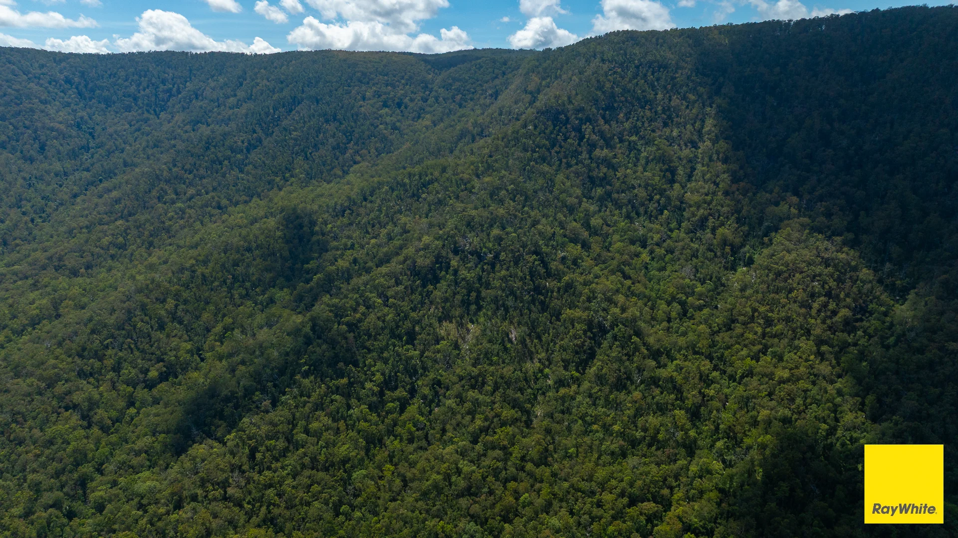 Additional image 23 of Lower Creek NSW 2440