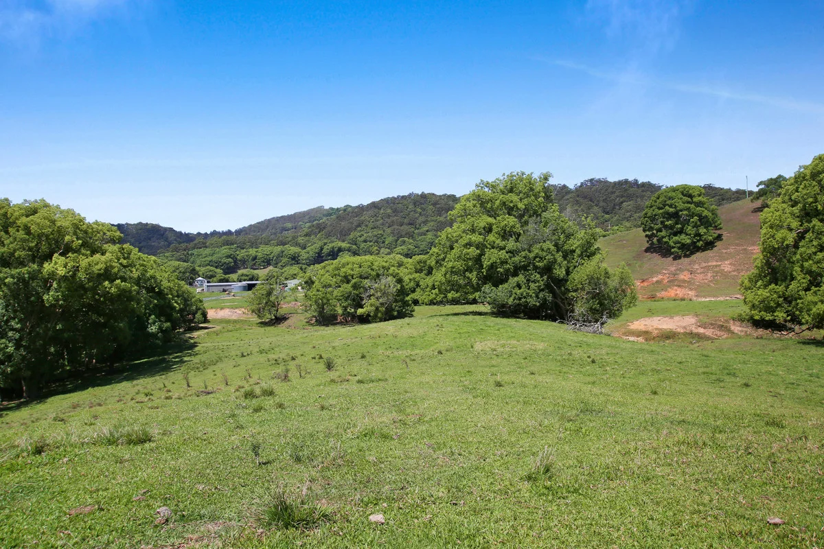 Additional image 19 of 1039 Currumbin Creek Road, Currumbin Valley QLD 4223