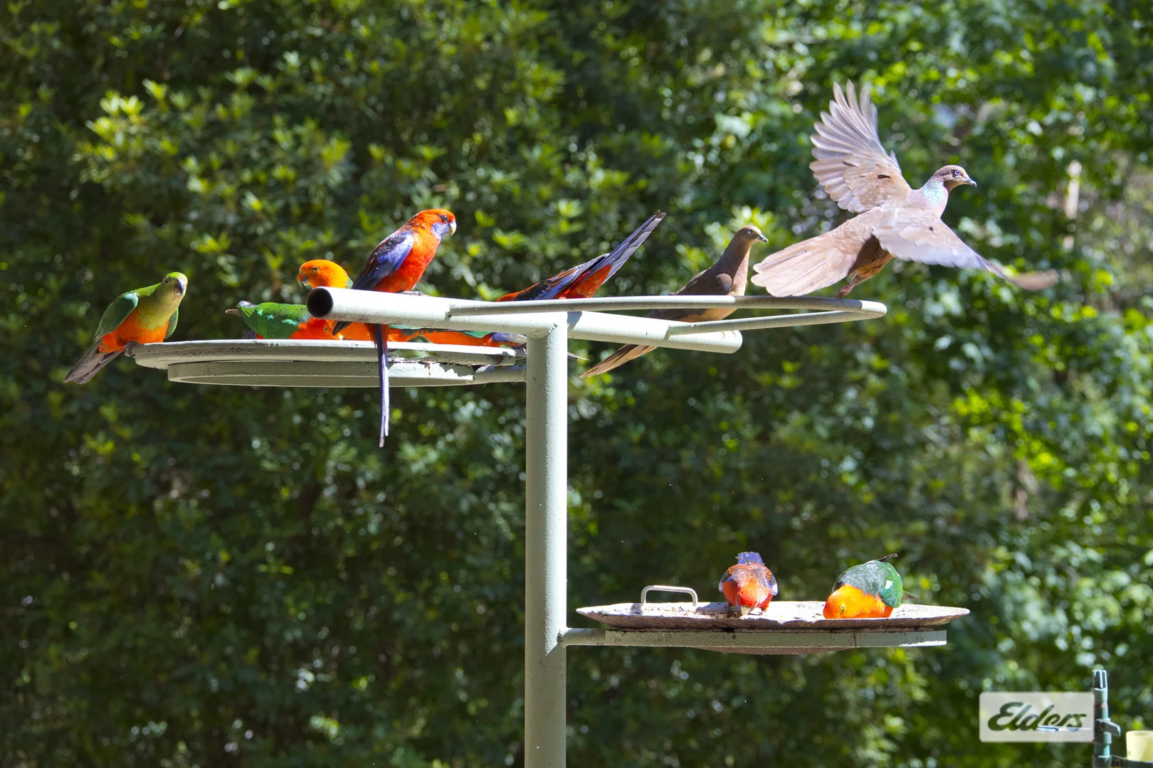 Additional image 6 of 948 Jamberoo Mountain Road, Jamberoo NSW 2533