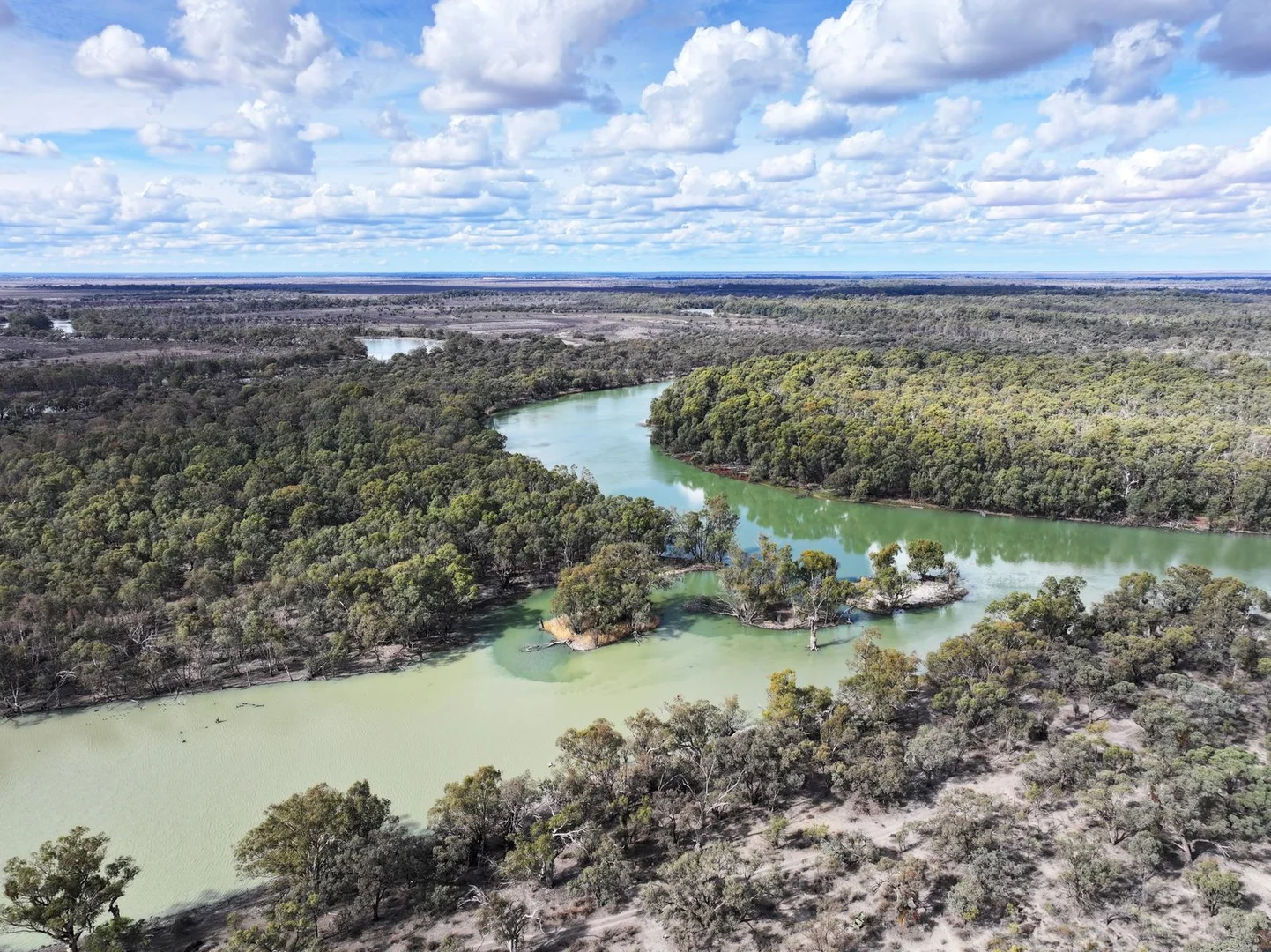 Additional image 3 of Lots 73 & 5265 Via Renmark Road, Wentworth NSW 2648