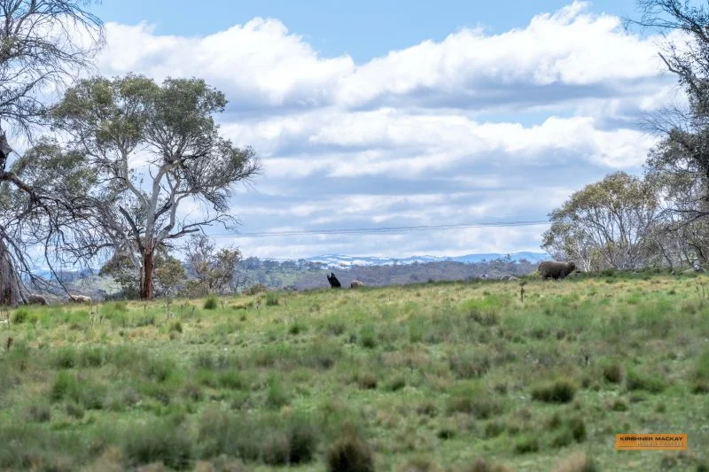 Lot 6 Avonside Road, Avonside NSW 2628