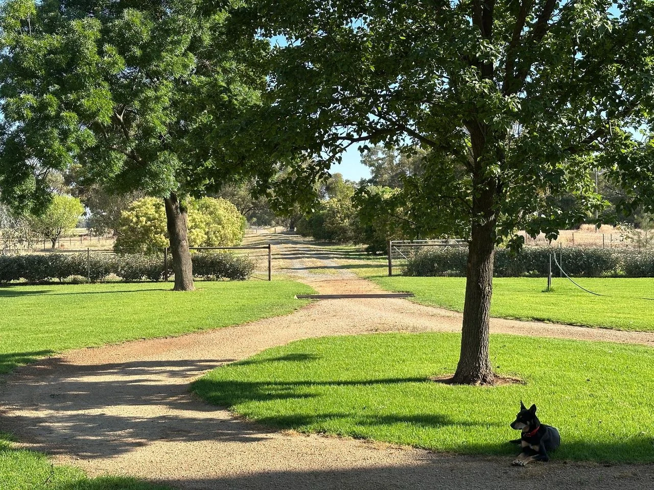 Additional image 29 of 349 Warregal Road, Parkes NSW 2870