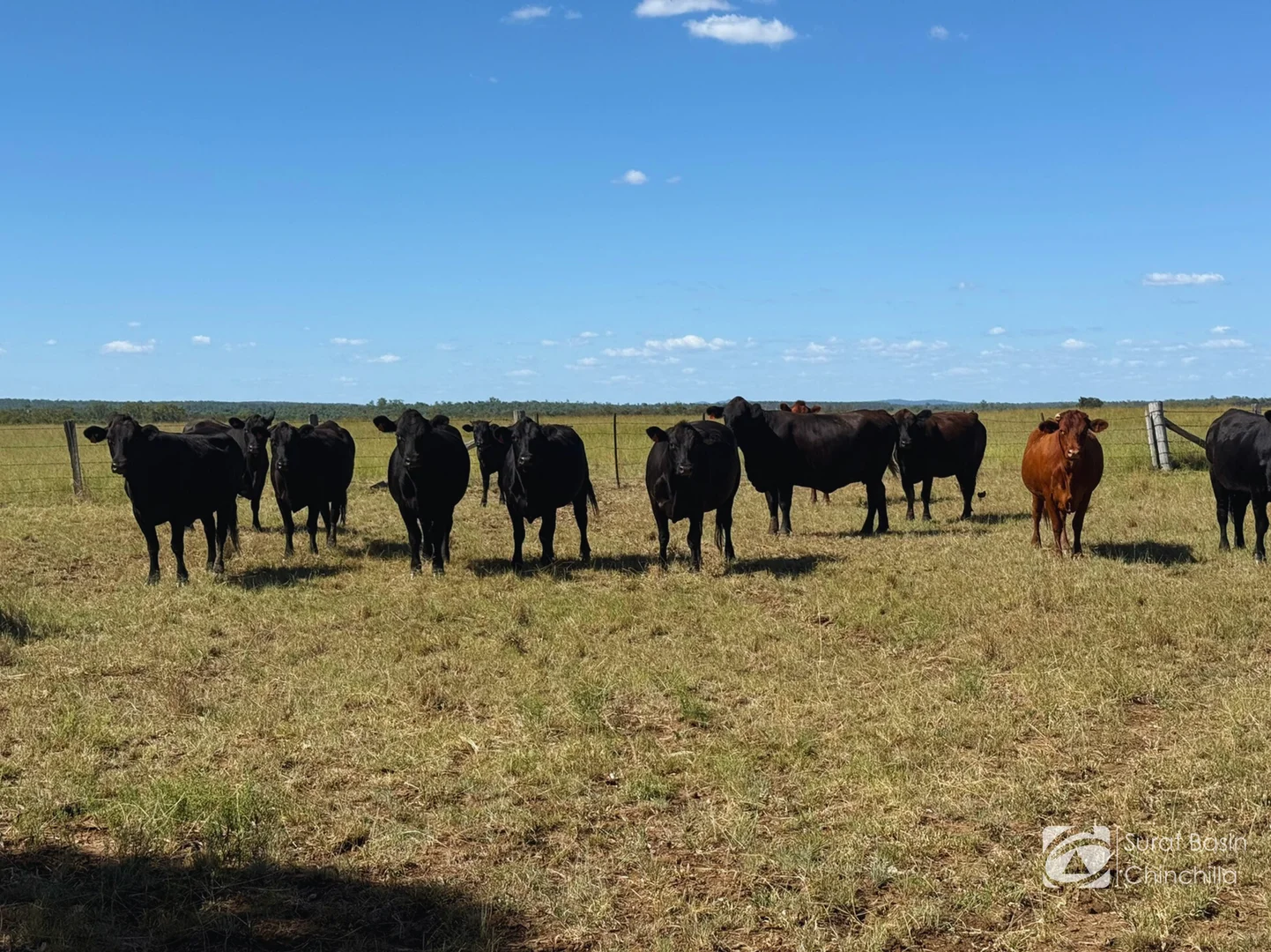 Additional image 19 of “Gedley et. al.” West Boondooma Road, Durong QLD 4610