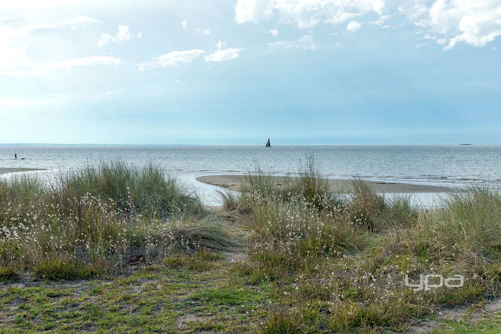 Additional image 6 of 55 Neville Drive, Rye VIC 3941