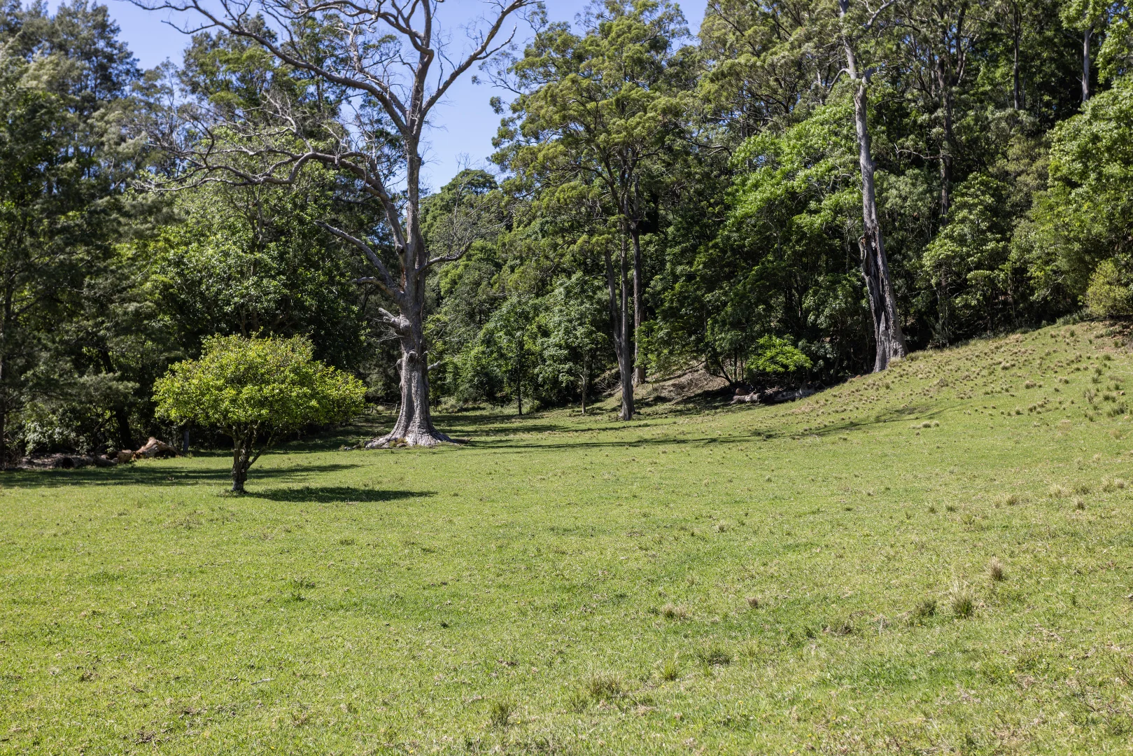 Additional image 5 of 'Franks Farm' Lots 127-129 Free Selectors Road, Foxground NSW 2534