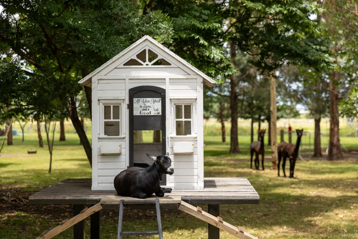 Additional image 34 of 23-25 Regent Street, Maitland NSW 2320