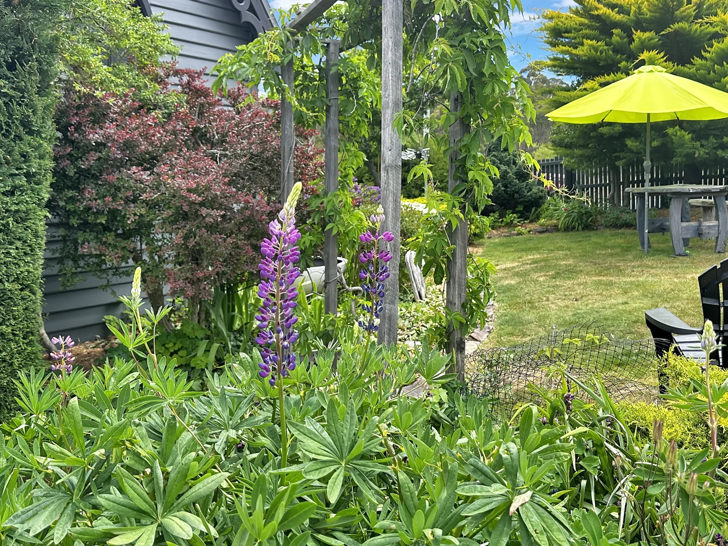 Additional image 43 of 15 Lee Street, Rossarden TAS 7213