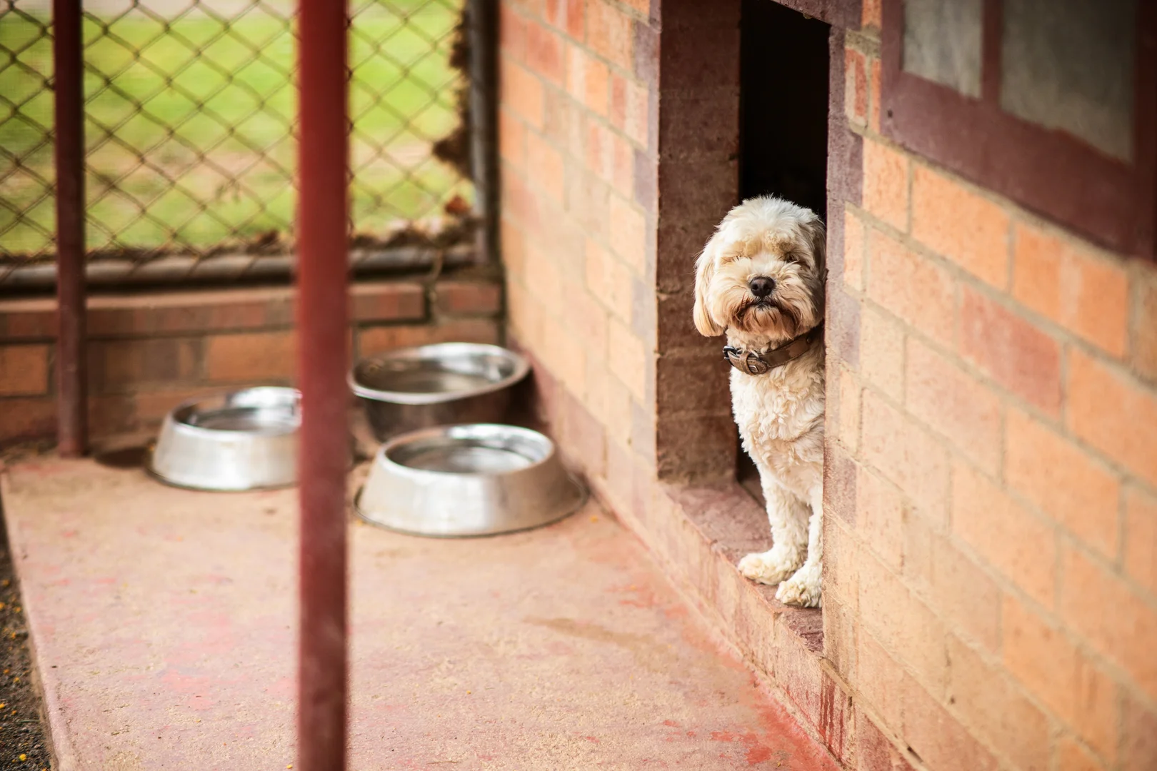 Additional image 42 of 297 Burden Drive, Oallen NSW 2622