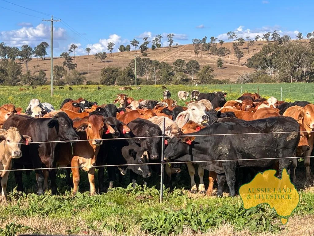Additional image 47 of 250 Heights Road, Nanango QLD 4615