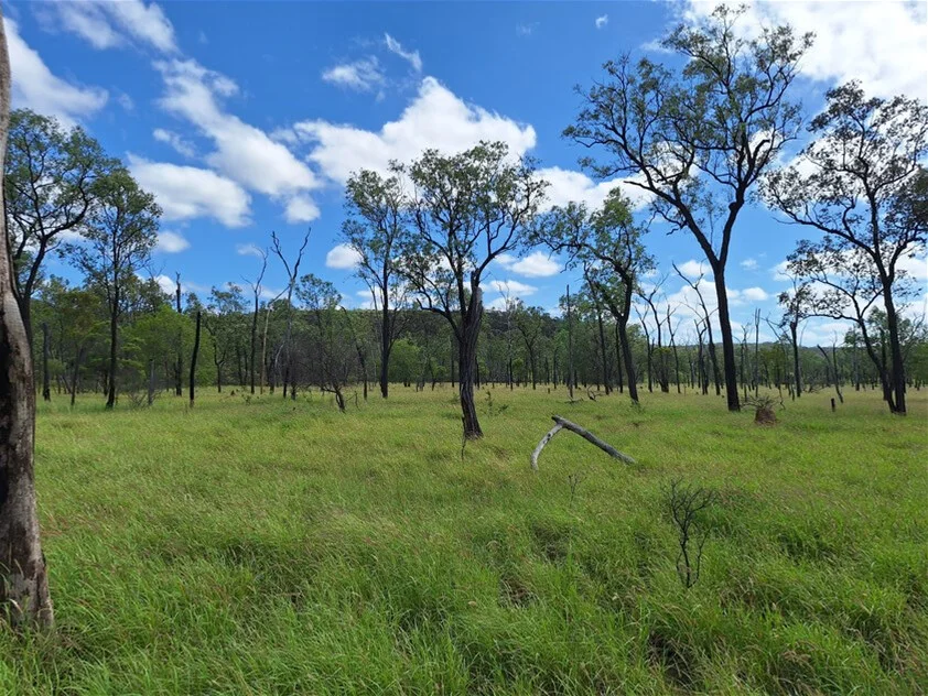 Additional image 19 of 6743 Dunrobin Road, Jericho QLD 4728