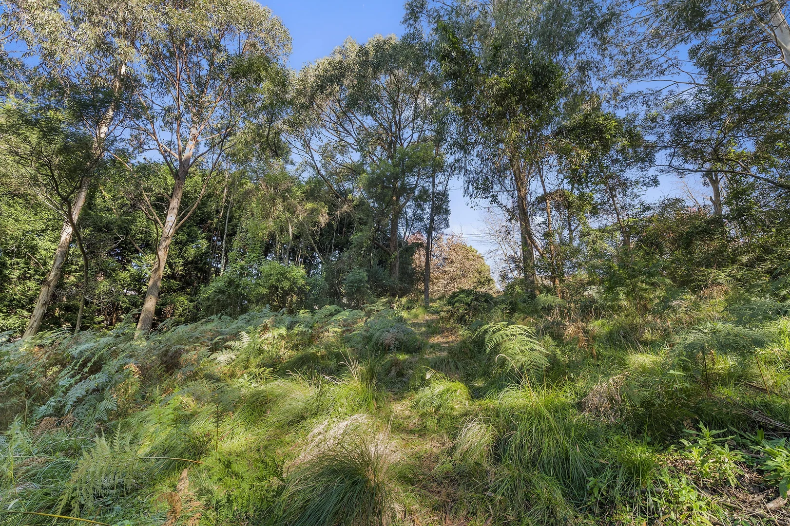 Additional image 5 of 35 Ben Nevis Circuit, Bundanoon NSW 2578