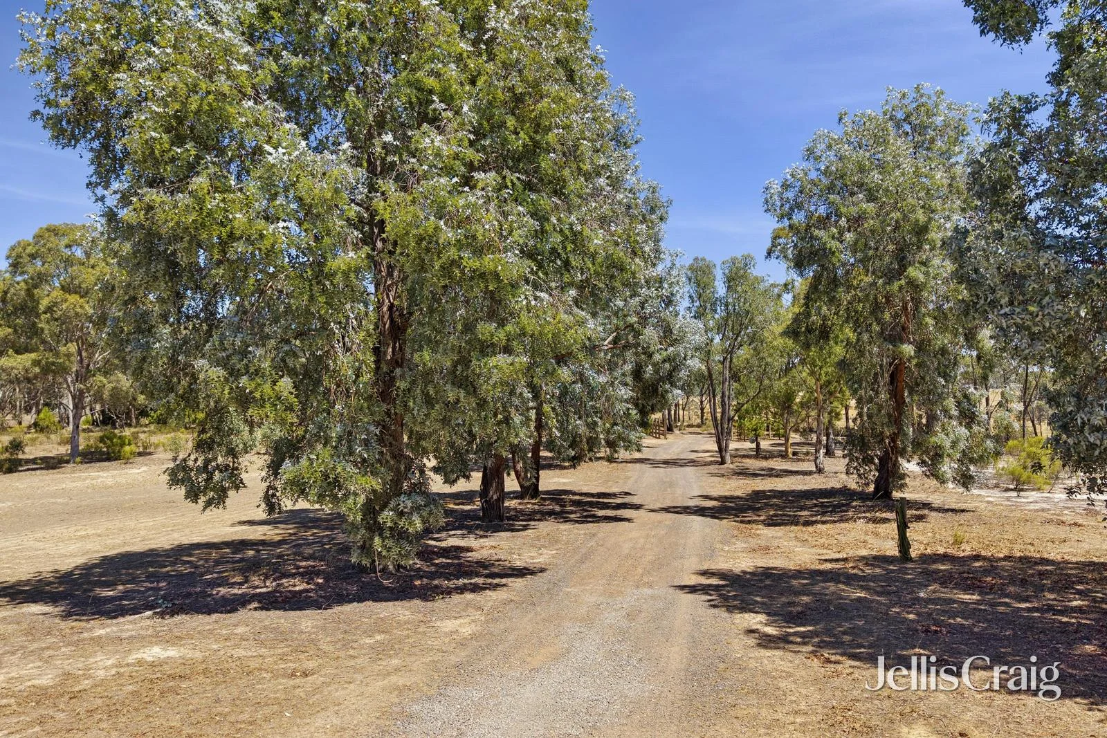 Additional image 15 of 241 McGregors Road, Walmer VIC 3463