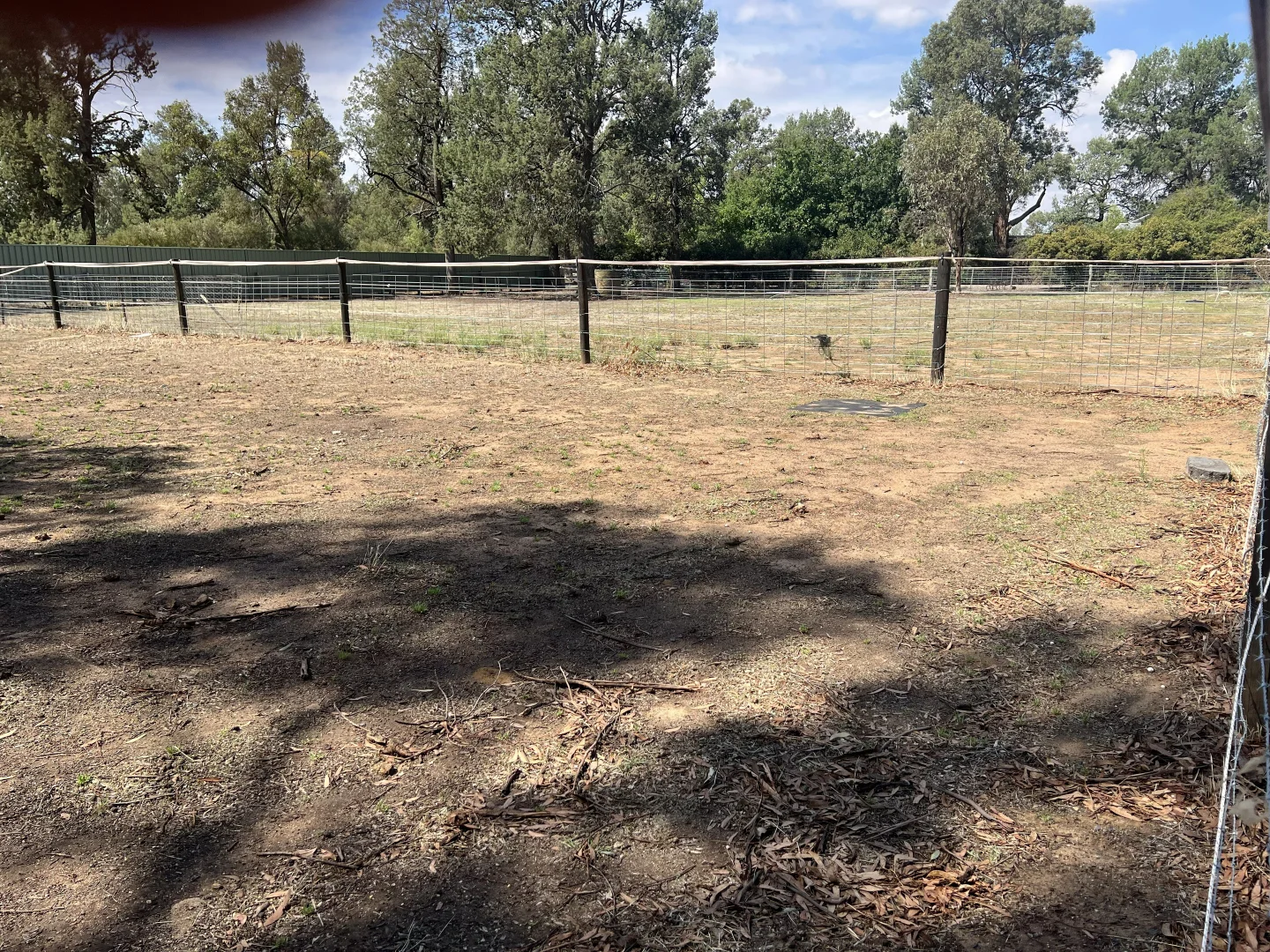 Additional image 20 of 32 Racecourse Road, Berrigan NSW 2712