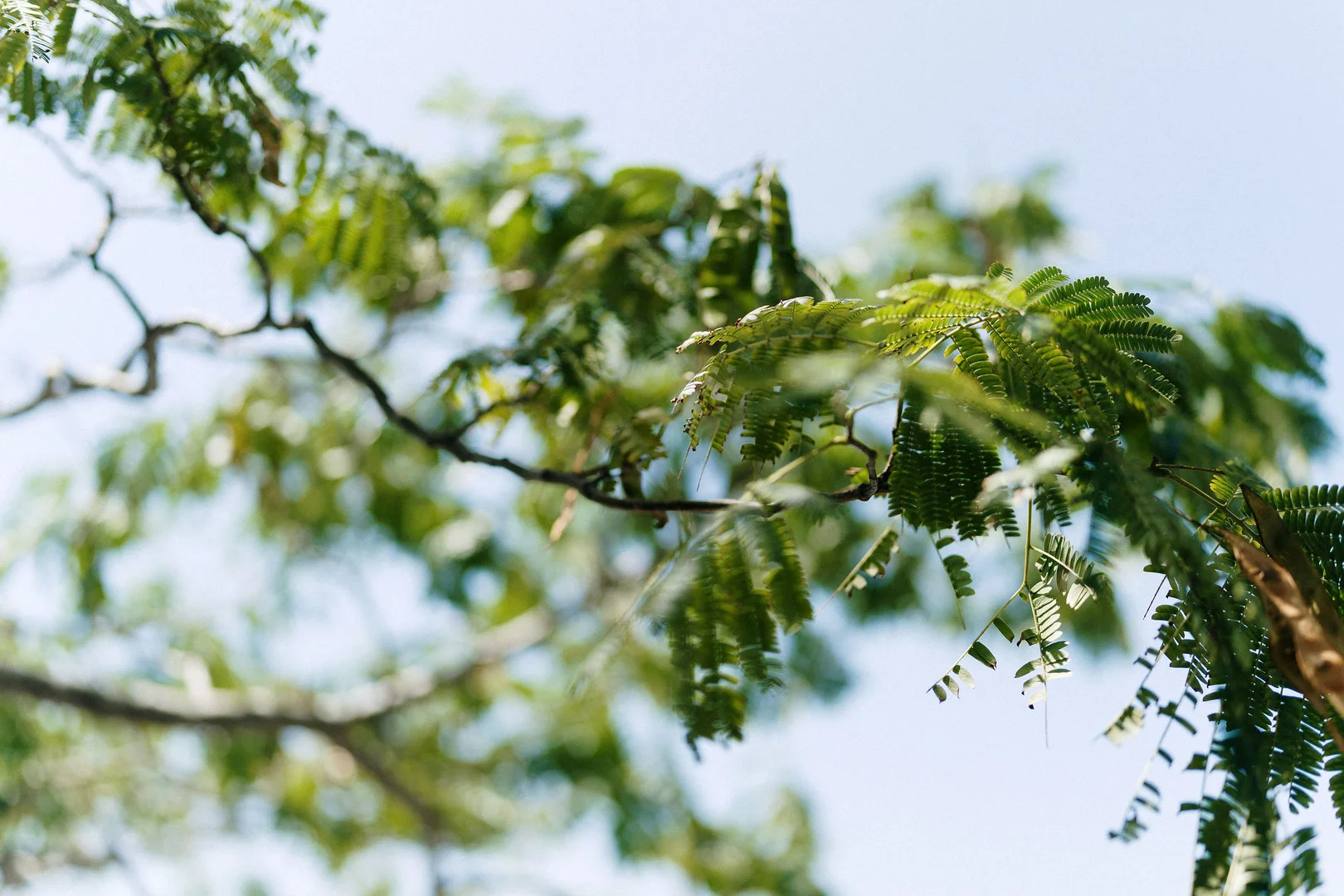 Additional image 19 of 71 Wagstaffe Avenue, Wagstaffe NSW 2257