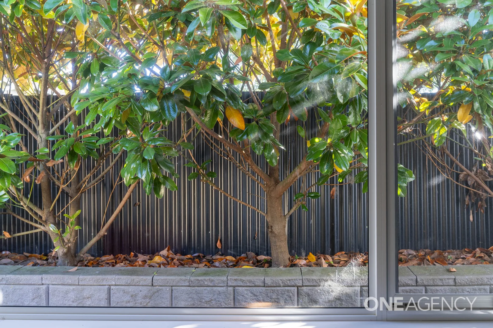 Additional image 25 of 24 Ashburner Street, Devonport TAS 7310