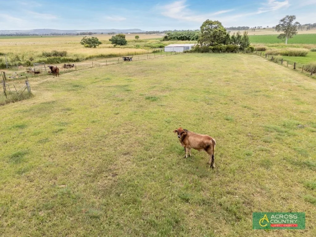 Additional image 58 of 314 Farrer's Road, Wondai QLD 4606
